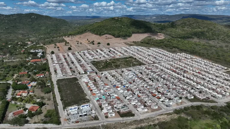MANDACARU - DJI_0229