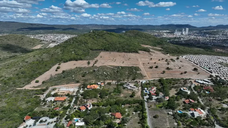 MANDACARU - DJI_0239