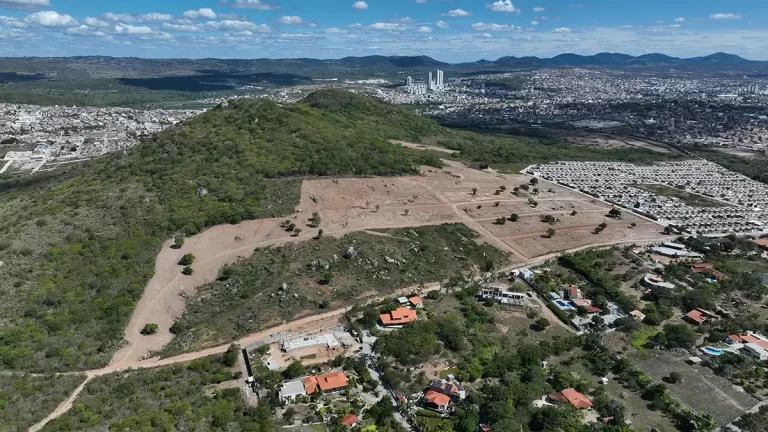 MANDACARU - DJI_0241
