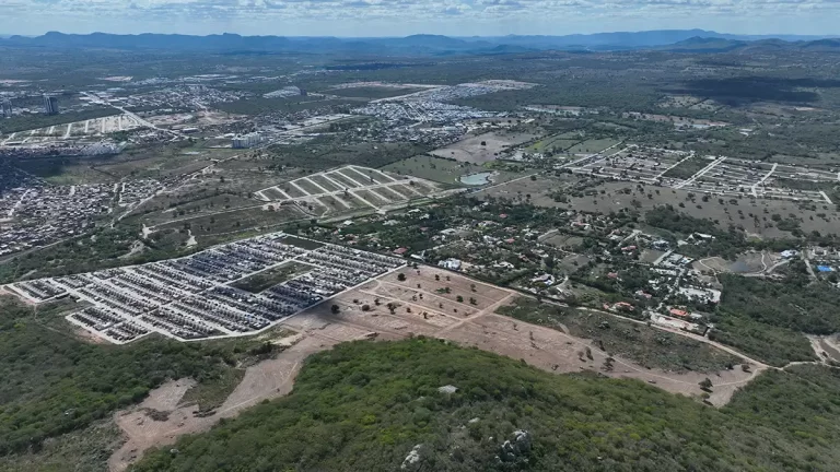 MANDACARU - DJI_0273