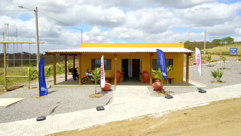 Passira - Novembro 23-DJI_0154