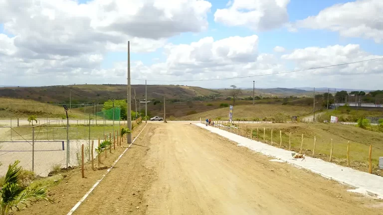 Passira - Novembro 23-DJI_0155
