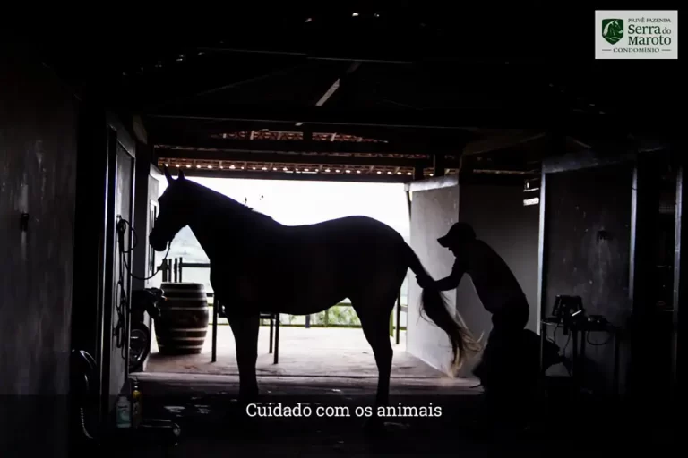 Serra do maroto - 01.22-09 (1)